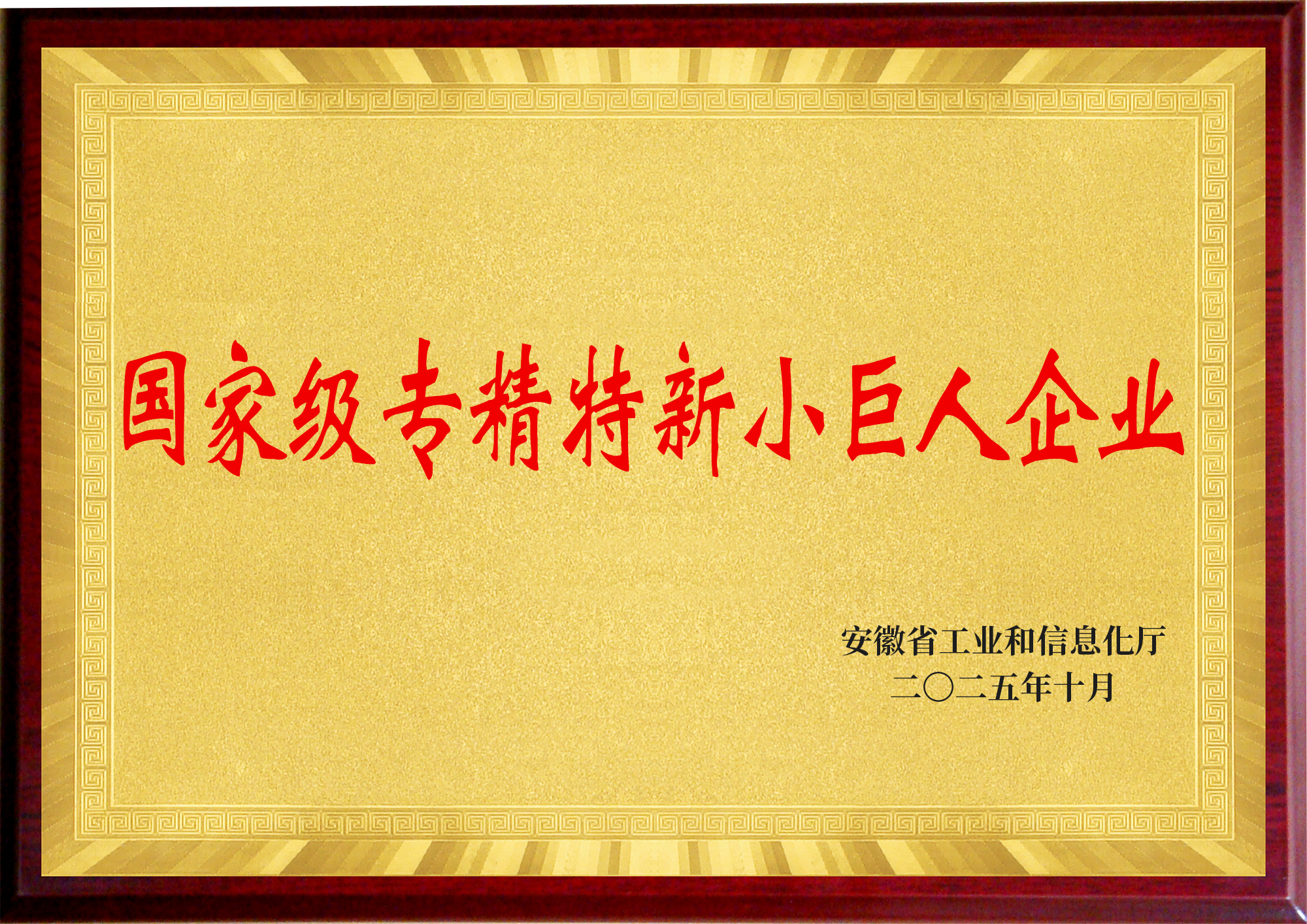 国家级专精特新小巨人企业